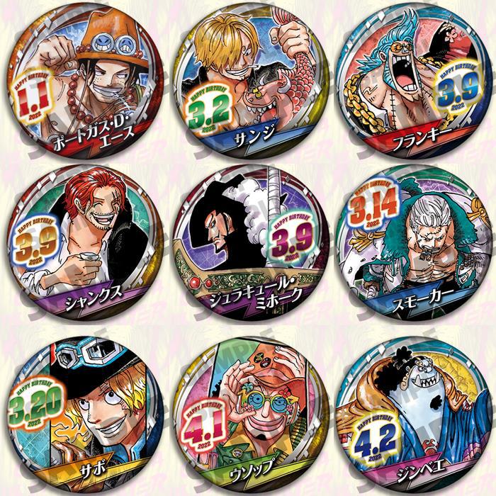 Anime Merchandise In Chinese - One Piece Anime Rozet Seti 2022